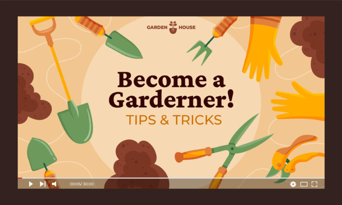 Gardening - Tips for Beginners